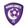 https://img.ltyj.net/img/football/team/c5a548d374c3bb29f1190bf670442c90.png